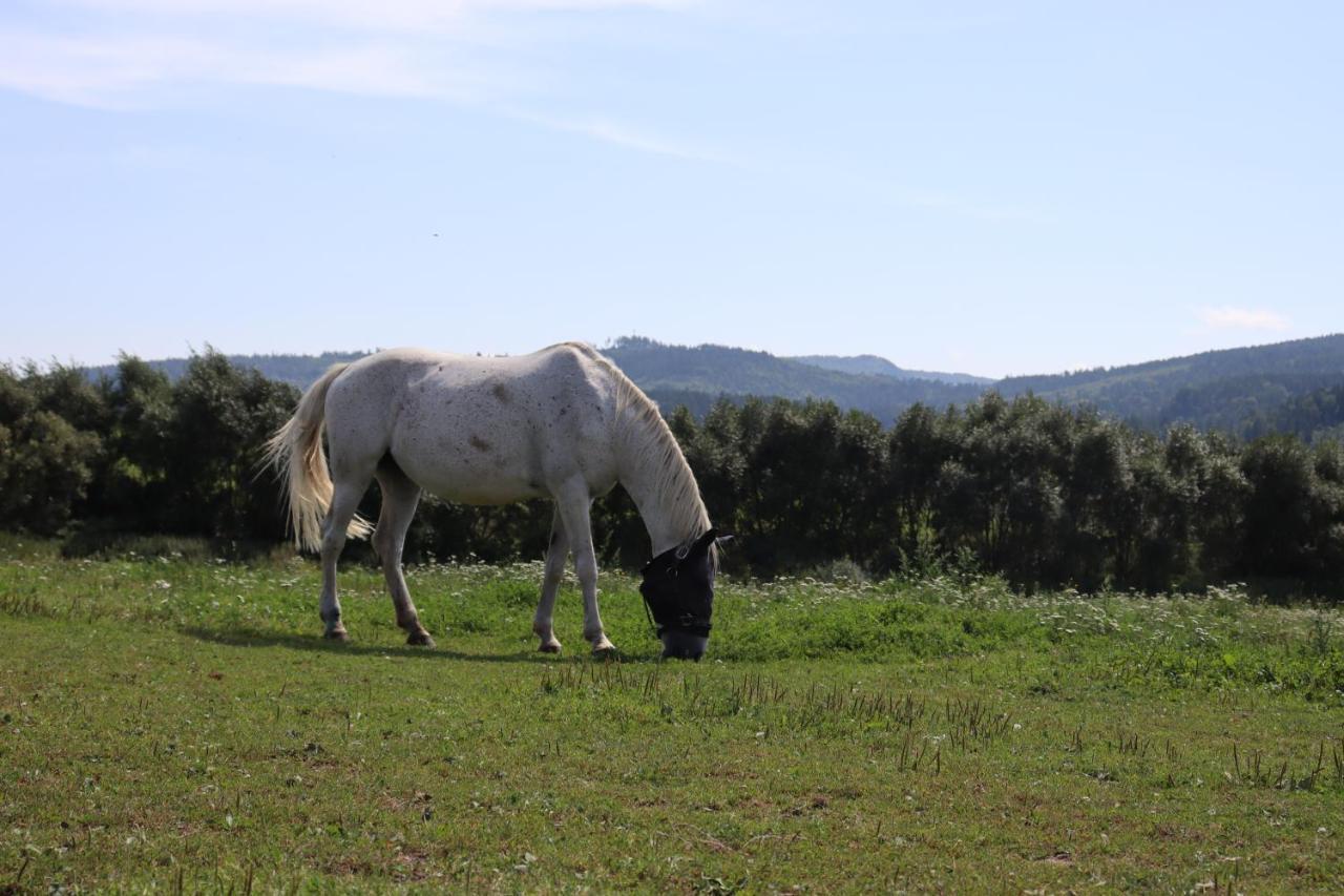 Agro Zula Apartment Hrabusice Bagian luar foto